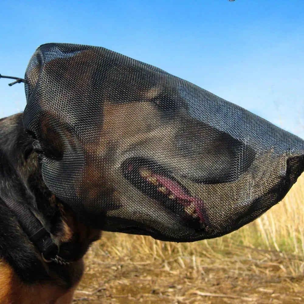 Dog Protection Masks Prevent Pet Facial Injuries And Are Suitable For Outdoor Adventures On Hiking Trips With Protect