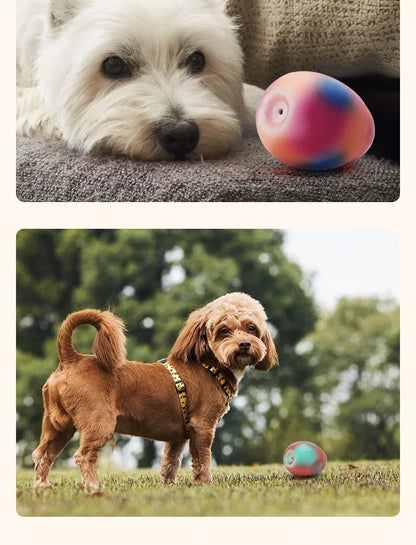 Dog Latex Toys Interactive Games Stretchable Dragon Eggs Teething Playing Easy Clean Squeeze Transform Sound Toys Pet Supplies