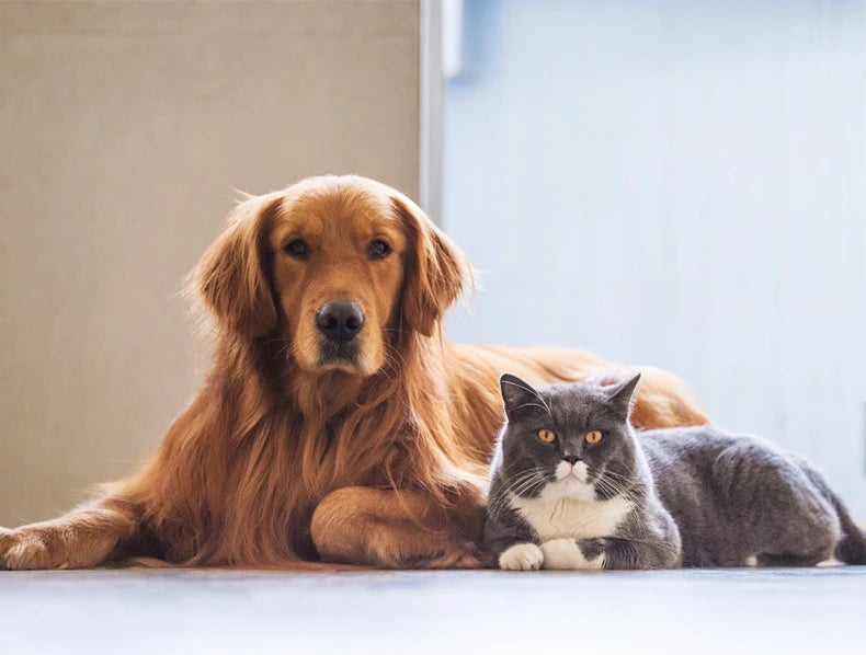 Waterproof Dog Pet Diaper Mat Reusable 3 Layer Absorbent Dog Bed Cat Diaper Pad Bone Paw Print Seat Cover Mat for Sofa Bed Floor