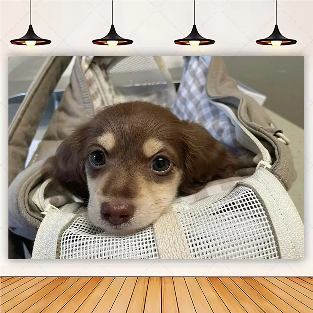 Cute Dachshund Theme Birthday Party Decorations Lovely Puppy Backdrop Cake Insert Banner Balloon Baby Shower Supplies Child Gift