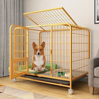 the BOLD & the BEAUTIFUL - Dog Indoor with Toilet Separation, Bold Pet Cage, Golden Retriever/Labrador Household Dog Cage, Playpen Dog Cage Medium/Large