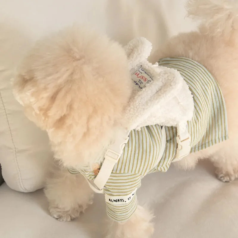 Ins Pet Dog Pet Outdoor Pets Plush Backpacks Backpack Snack Bags Teddy Decorations Dog Accessories for Small Dogs Dog Poop Bag