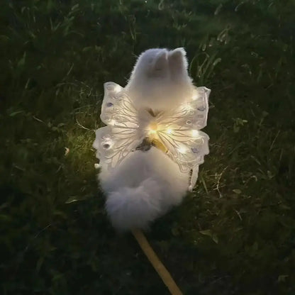 the ANGEL WINGS - Cute Glowing Dog Wing Butterfly for Small/Medium Dog Clothes, Sweet Gift Pet Back Decoration
