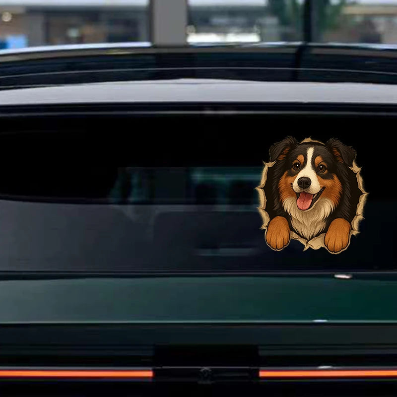 Australian Shepherd Car Sticker – Funny Peeking Dog Vinyl Decal, Waterproof Pet Lover Decoration for Vehicles,window,wall