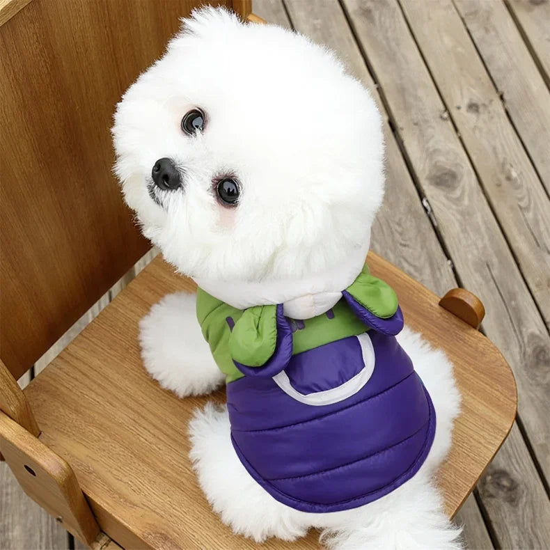 New Dog Clothing for Small Breeds - Corgi Dog Winter and Autumn Model with Warm Insulation and A Leash Ring