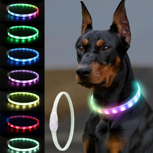 the GLOWGUARD COLLAR - USB Rechargeable Glowing Collar for Large and Small Dogs, LED Glowing Dog Collar - 9 Flashing Modes - Adjustable Soft Silicone Collar