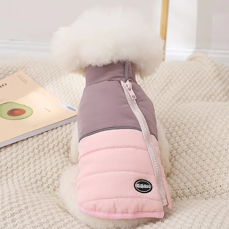 The Dog's Clothes Are A Small Cotton Vest with A Zipper, Similar To A Yorkshire Terrier or Dachshund Pet Clothing.