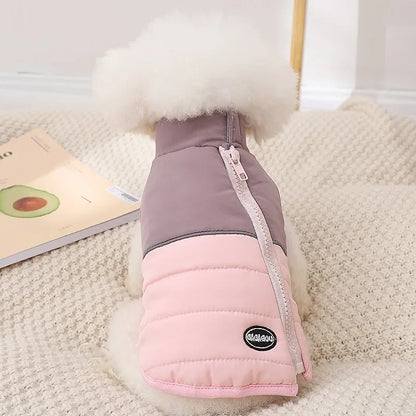 The Dog's Clothes Are A Small Cotton Vest with A Zipper, Similar To A Yorkshire Terrier or Dachshund Pet Clothing.