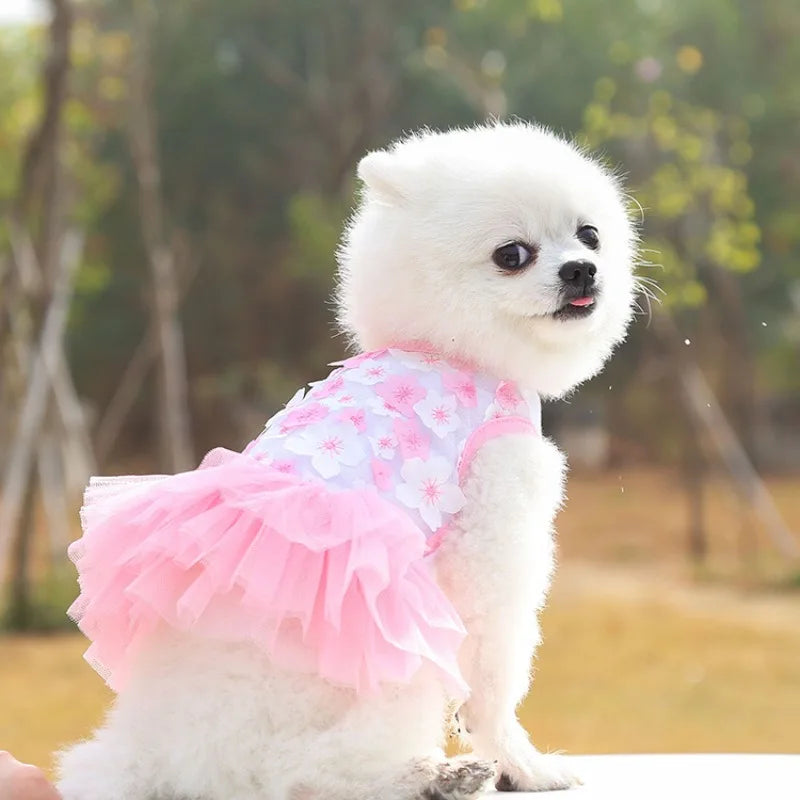 Lace Chiffon Dress for Small Dog Floral Dress Party Birthday Puppy Wedding Dress Summer Cute Costume Clothes for Pet Dogs Cat