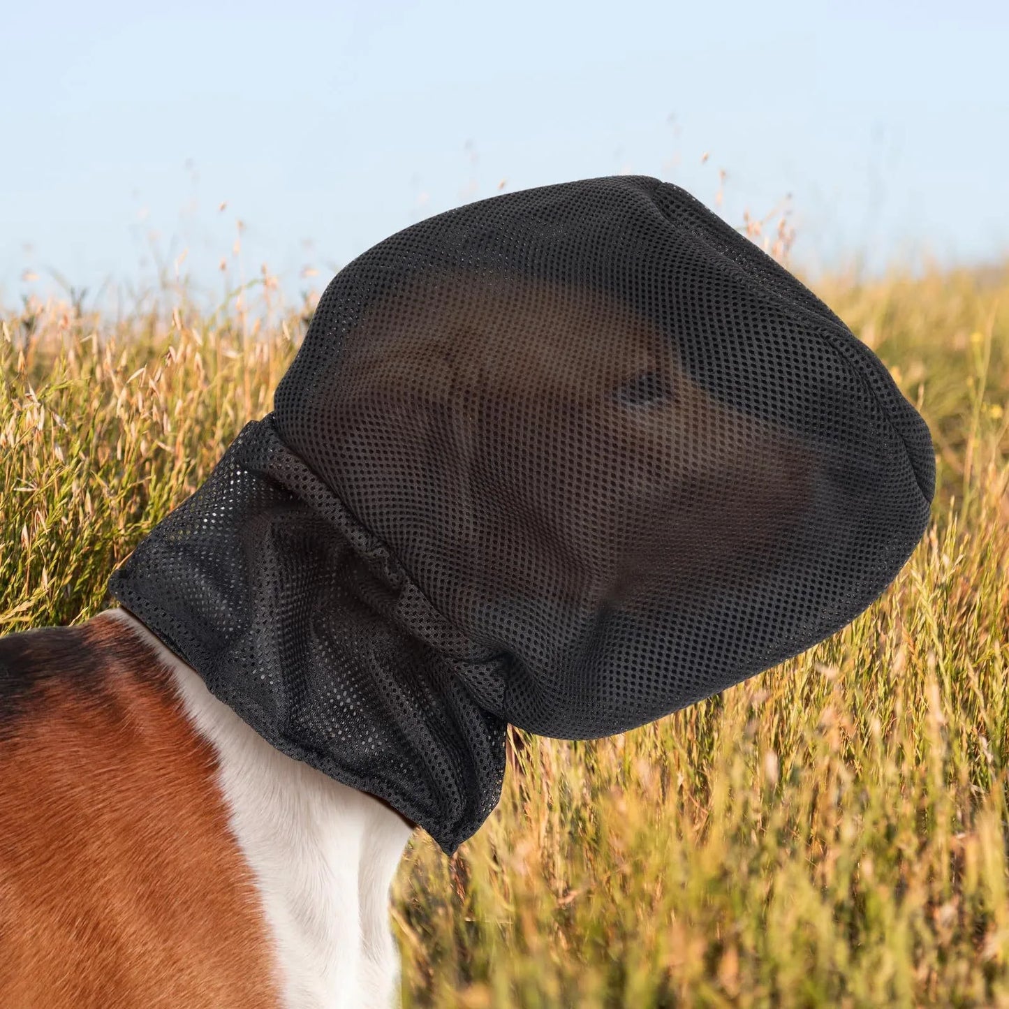 Dog Protection Masks Prevent Pet Facial Injuries And Are Suitable For Outdoor Adventures On Hiking Trips With Protect