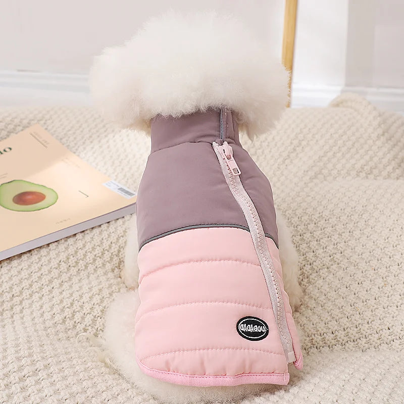 The Dog's Clothes Are A Small Cotton Vest with A Zipper, Similar To A Yorkshire Terrier or Dachshund Pet Clothing.