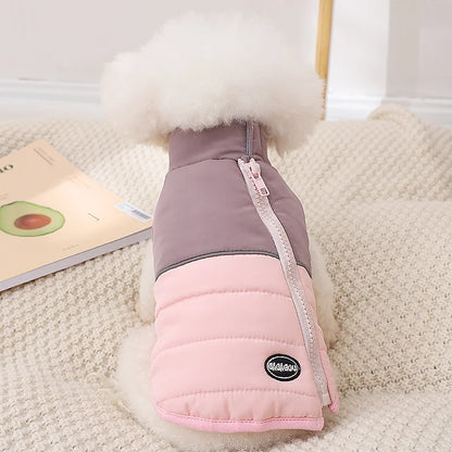 The Dog's Clothes Are A Small Cotton Vest with A Zipper, Similar To A Yorkshire Terrier or Dachshund Pet Clothing.