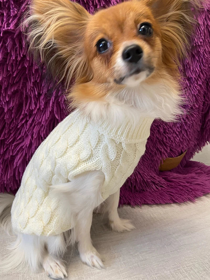 Dog Sweaters for Small Dogs Winter Warm Dog Clothes Turtleneck Knitted Pet Clothing Puppy Cat Sweater Vest Chihuahua Yorkie Coat