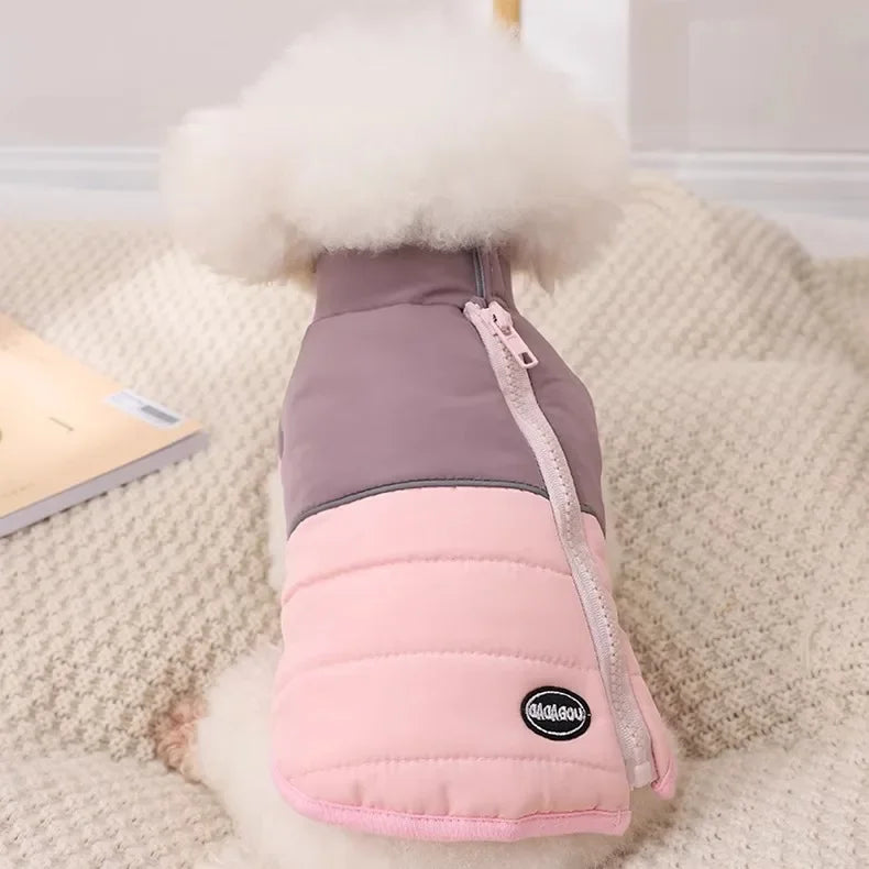 The Dog's Clothes Are A Small Cotton Vest with A Zipper, Similar To A Yorkshire Terrier or Dachshund Pet Clothing.