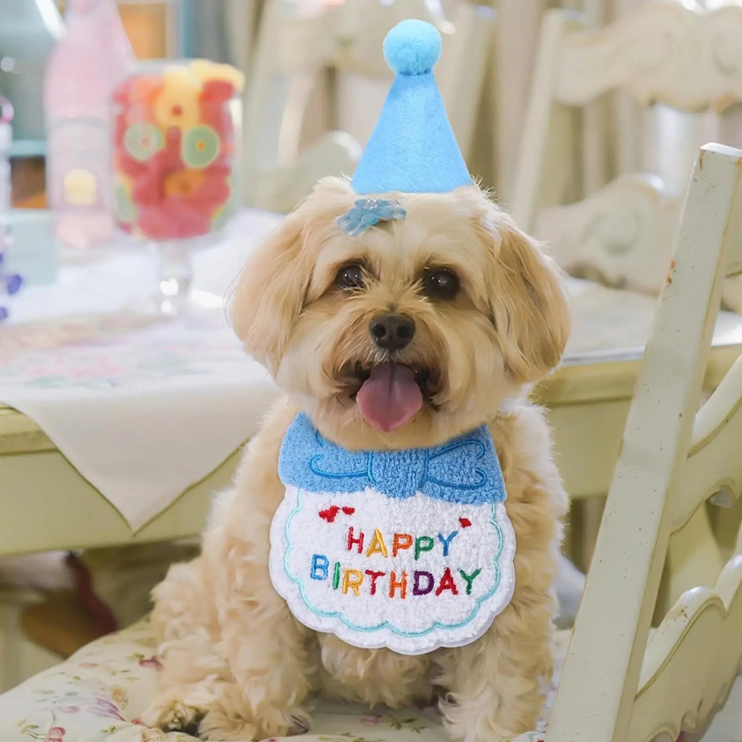 2Pcs Cat Dog Birthday Bandana Scarf  And Party Hat Pet Birthday Bib and Hat Cat Birthday Outfit Pet Birthday Decorations Set