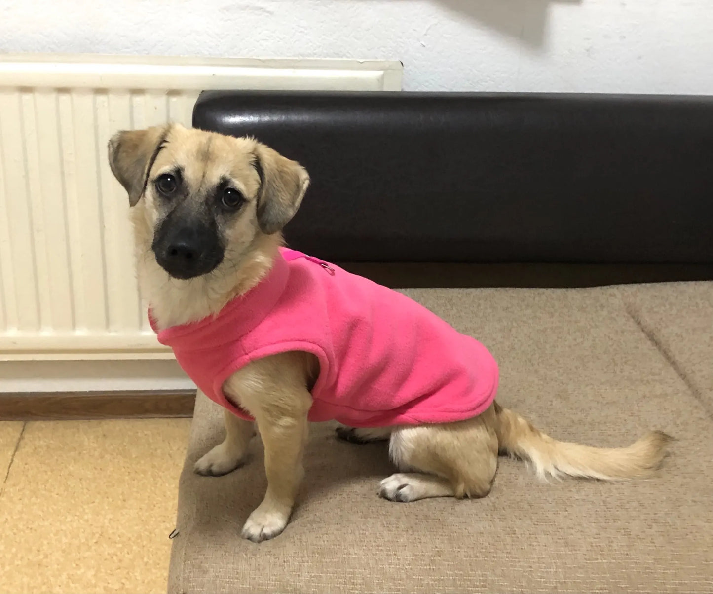 Dog Fleece Vest Chihuahua Winter Clothing For Small Dogs Warm Dachshund Dog Coat For Medium Bulldog Pitbull Maltese Dogs Jumpers