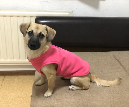 Dog Fleece Vest Chihuahua Winter Clothing For Small Dogs Warm Dachshund Dog Coat For Medium Bulldog Pitbull Maltese Dogs Jumpers