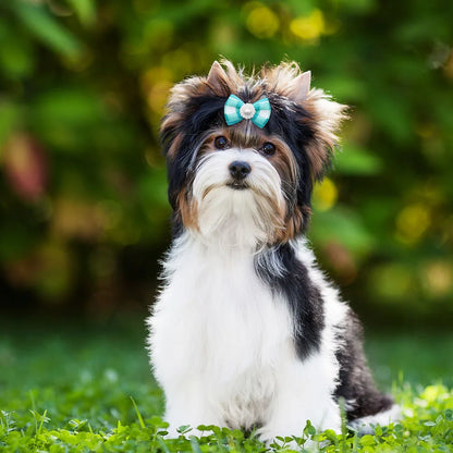 the BLUE GEM BOWKNOTS - Small Dog Bows, 10/20PCS Movable Dog Bows with Rubber Bands, Pet Hair Accessories for Dogs, Blue Series Pet Bowknots, Dog Supplies