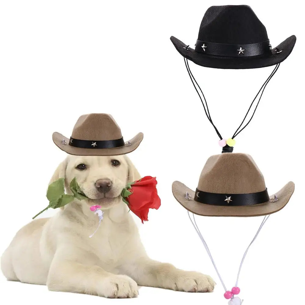 the COWBOY CANINE - Puppy/Dog & Kitten/Cat Hat, Birthday Party Dog/Cat Costumes, Pet Products - Photo Prop, Christmas Dog Hat, Pet Supplies Dog Costume, Cat Cowboy Hat