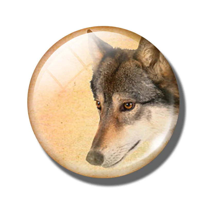 Yellow Brown Dachshund 30MM Fridge Magnet Handmade Weiner Dog Glass DomeRefrigerator Magnets Sticker Cute Animals Kitchen Decor