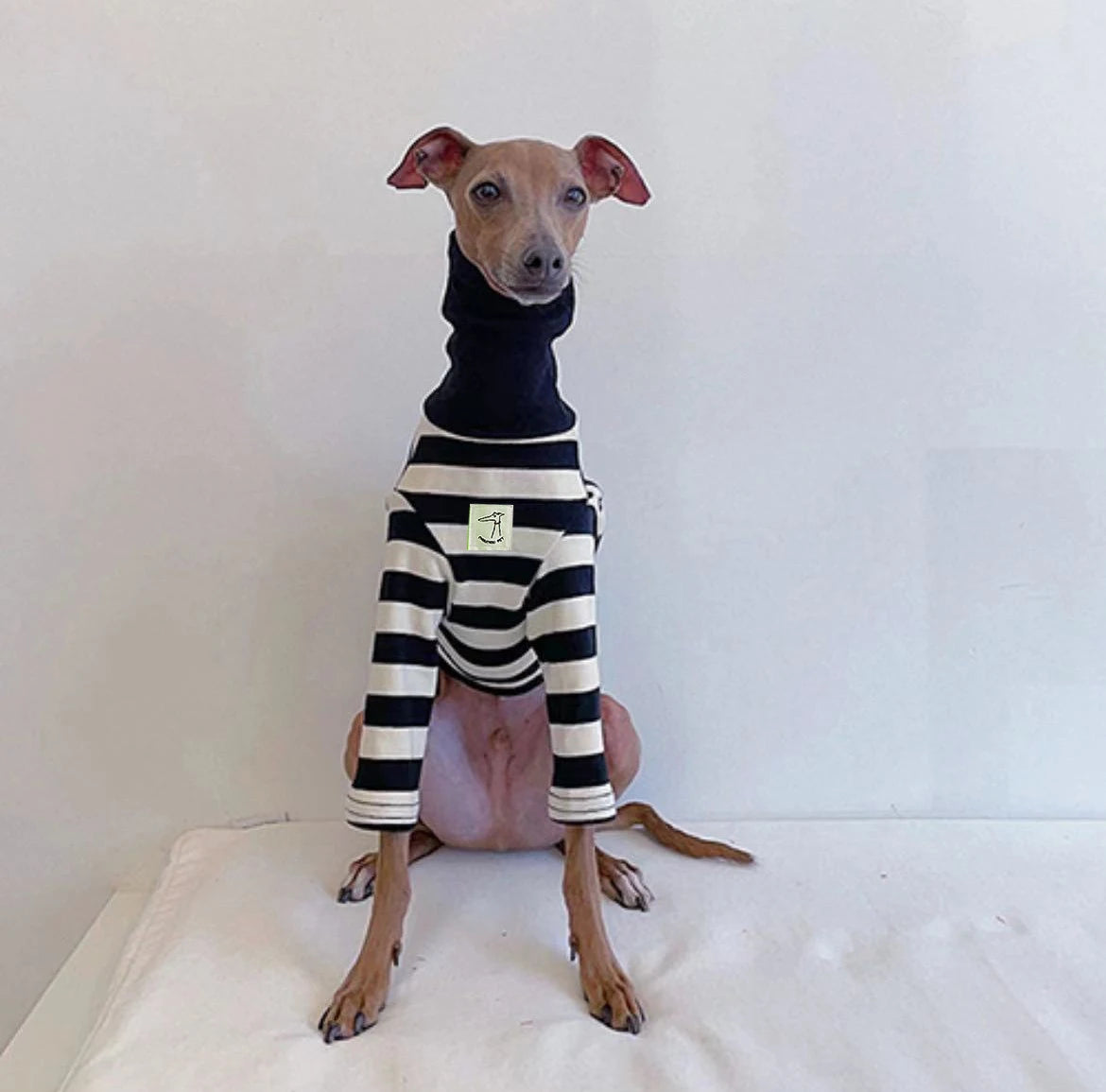 Cute High Neck Colorblock Italian Greyhound Clothes Cotton Stretch Puppy Clothes Whippet/Bellington Medium Dog Pet Clothes