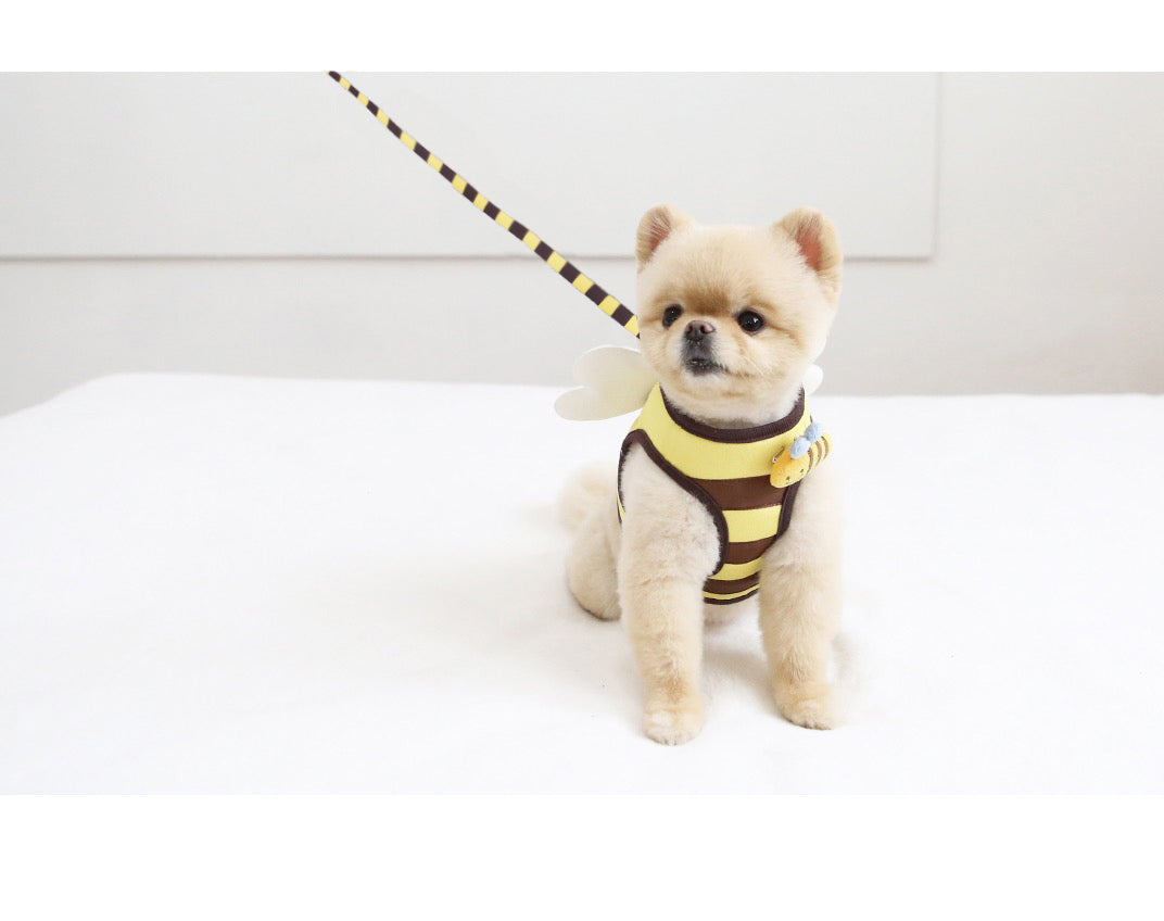 the BUZZBUDDY WALK SET - Cute Bee Kitten/Puppy/Dogs Harness and Leash Set, Soft Breathable Dogs Vest Harness Leads, Pet Clothes for Small Dogs, Chihuahua