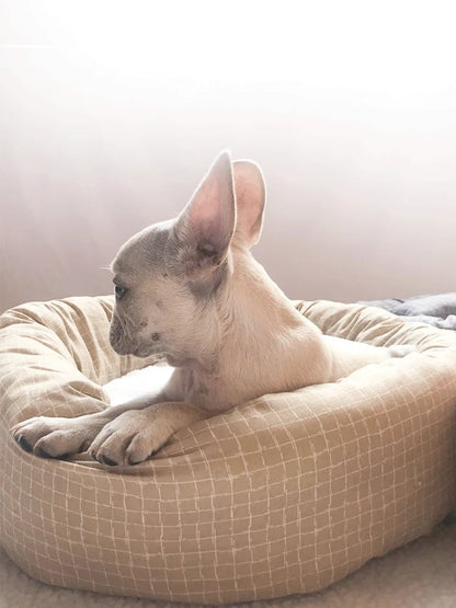 All Season Dog Cat Bed Washable Pet House Soft Warm Cushion for Small Medium Large Pets