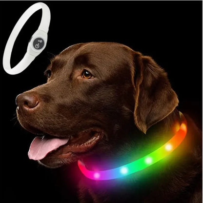 the NIGHTBEAM GLOW COLLAR - New Led Luminous Dog Collar, PVC Waterproof for Large/Medium/Small Dogs, Collar USB Light Night Safety, Pet Glowing Accessories