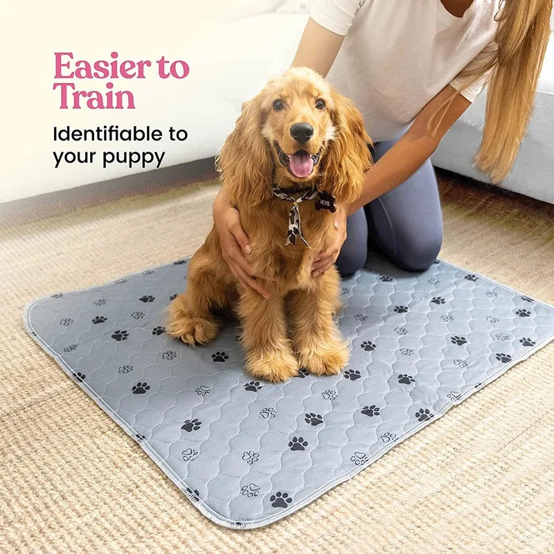 Dog Urine Pads Washable Reusable Anti Slip Pet Pee Pad Puppy Training Pad Pet Bed Urine Mat for Car Seat Cover Pet Supplies