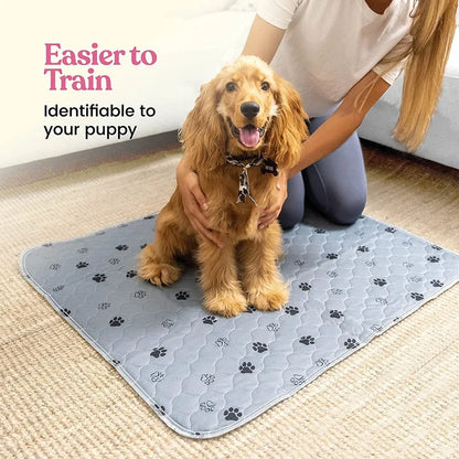 Dog Urine Pads Washable Reusable Anti Slip Pet Pee Pad Puppy Training Pad Pet Bed Urine Mat for Car Seat Cover Pet Supplies