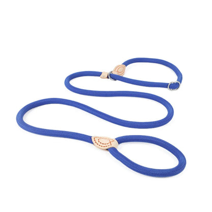 the TRAINMASTER BRAIDED LEAD - 1.5M/1.8M Dog Leash Slip Rope, Lead Leash Heavy Duty Braided Rope, Adjustable Loop Collar Training Leashes for Medium/Large Dogs