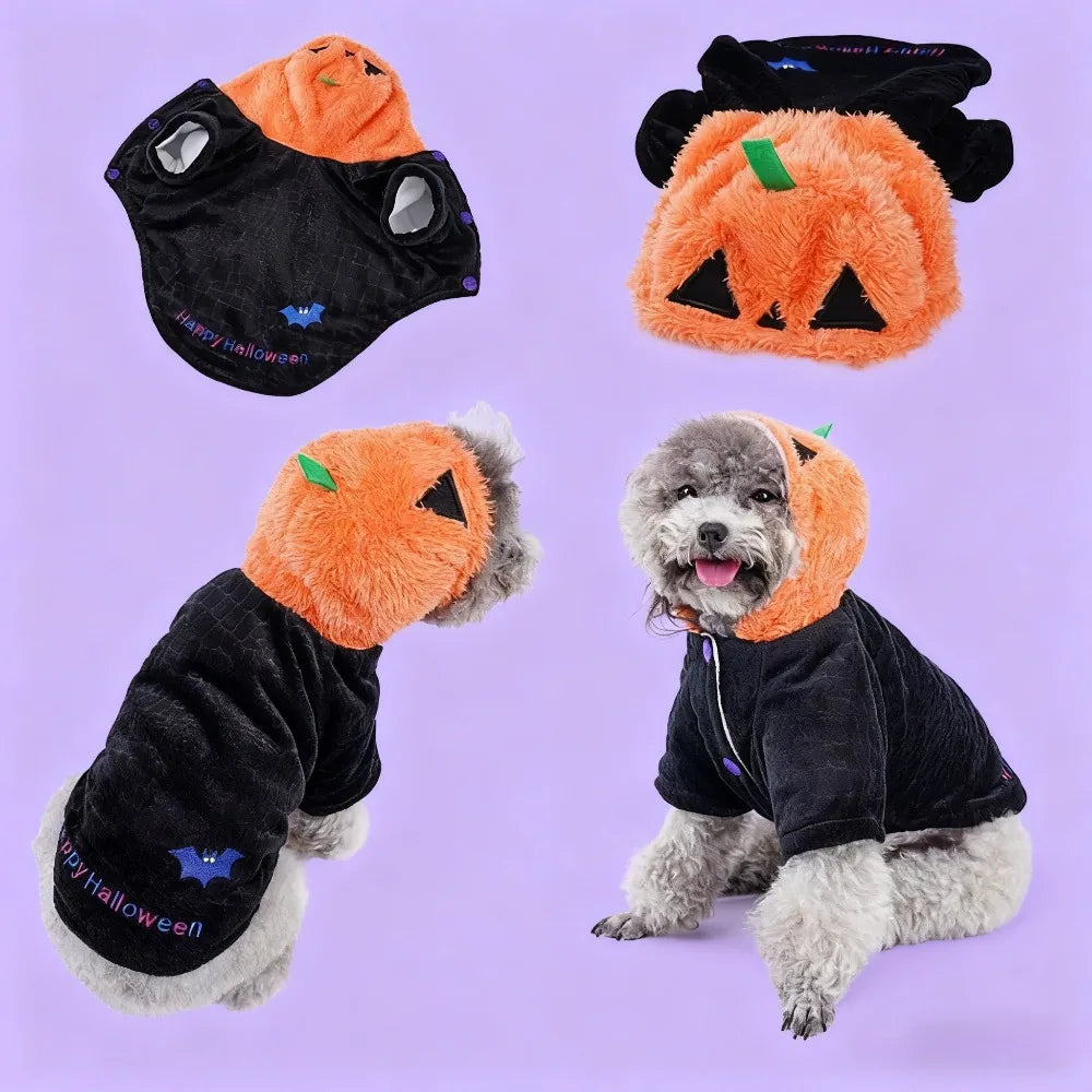 Pet Clothes Halloween Funny Pumpkin  Pirate Transformation Cat Small Dog Transformation Dress Photo Dog Clothes Pet Supplies