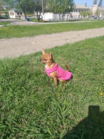 Dog Fleece Vest Chihuahua Winter Clothing For Small Dogs Warm Dachshund Dog Coat For Medium Bulldog Pitbull Maltese Dogs Jumpers