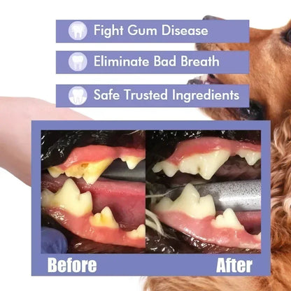 the ORAL SPRAY - Pet Teeth Cleaning Spray, Oral Care, Remove Tooth Stains, Keep Fresh Breath for Cats and Dogs, Whitening & Remove Bad Breath