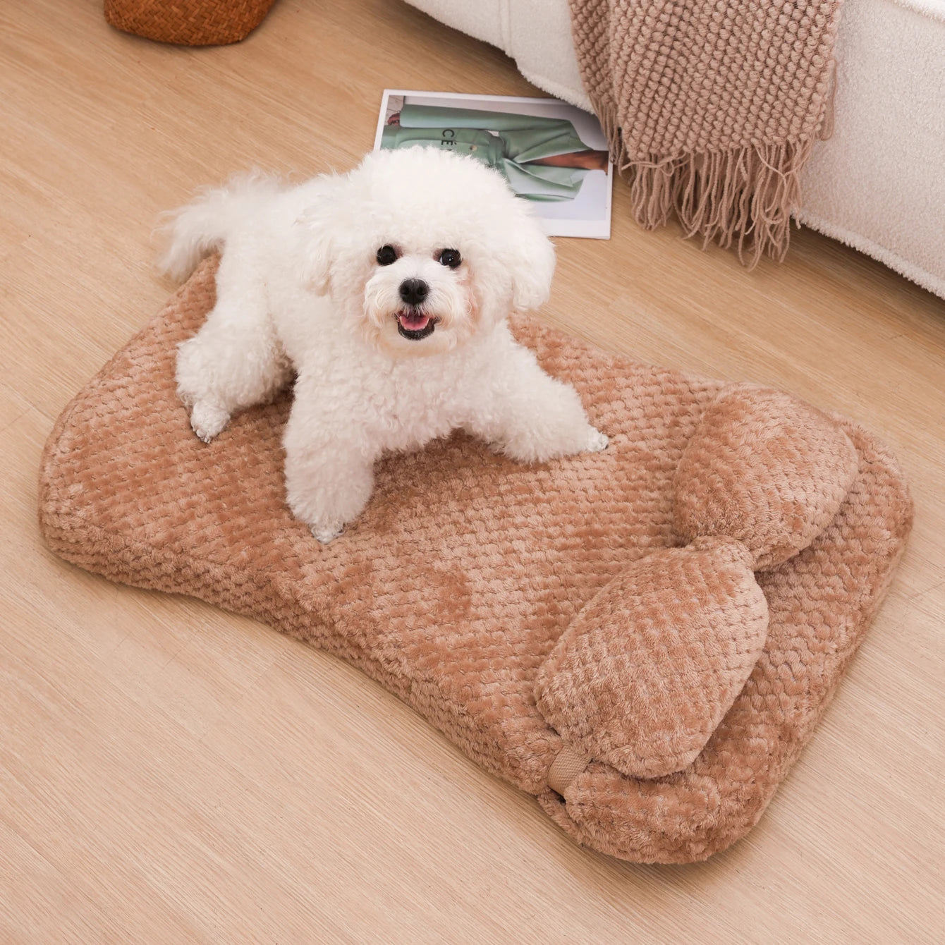 Full Filling Warm Medium Dog Bed Winter Warm Small Cat Sofa Mat Elastic Puppy Kennel Pet Accessories with Detachable Pillow
