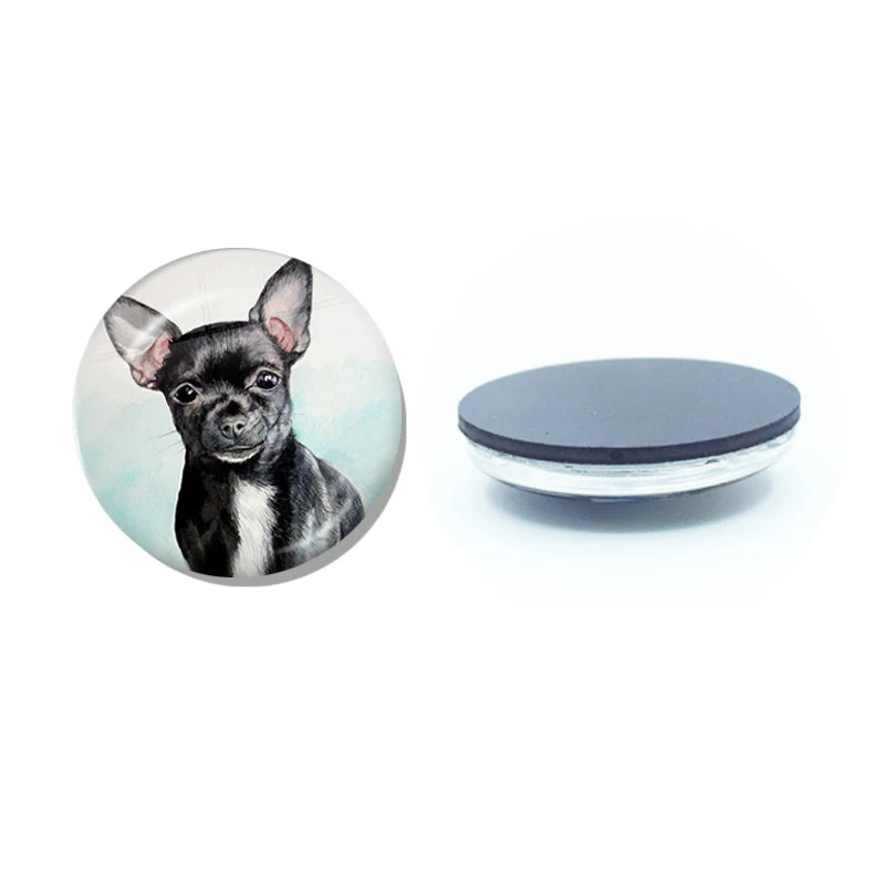 New Chihuahua Magnet Fridge Stickers Decoration Home Refrigerator Decor Glass Dome Crystal Souvenir