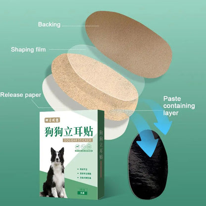 Pet Dog Ear Stand Stickers Free Standing Ear Correction Aid Stickers Large And Small Dogs Ear Stand Straightener Accessories