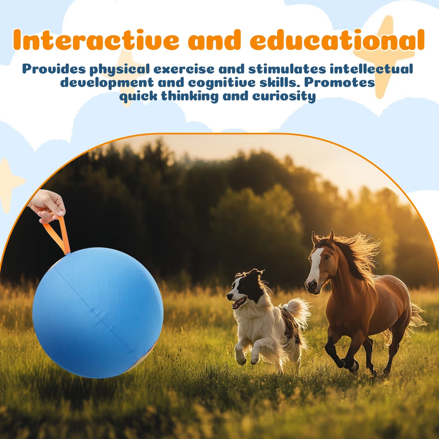 Dogs Outdoor Inflatable Ball Toy Herding Ball Agility Training Durably Physical Activity Big Ball Pet Self Play Toy