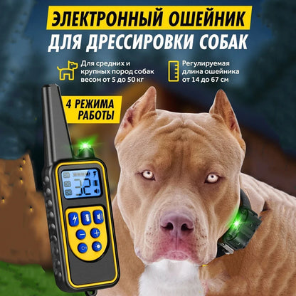 the POWERPULSE E-TRAINER - [New Edition] Dog Shock Collar with Remote - Dog Training Collar for Large/Medium/Small Dogs, Waterproof Rechargeable E-Collar