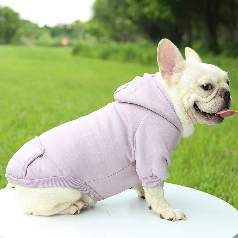 Dog Hoodie with Pockets - Warm Fleece Sweater for Small Dogs Like Chihuahuas (Cozy Coat, Machine Washable, Outdoor & Indoor Use)