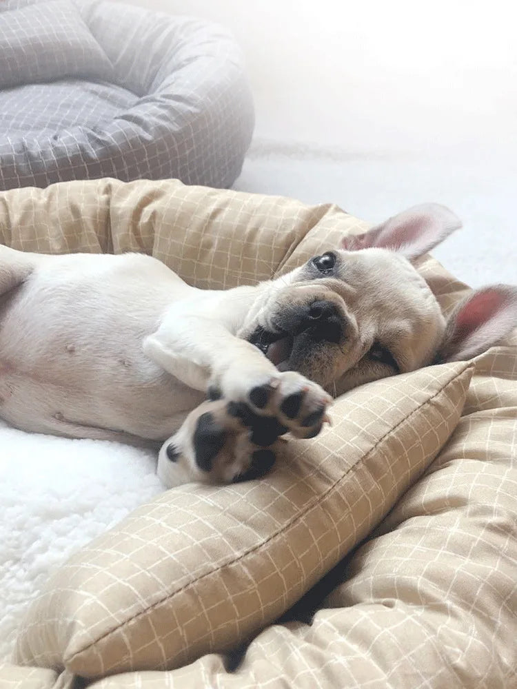 All Season Dog Cat Bed Washable Pet House Soft Warm Cushion for Small Medium Large Pets