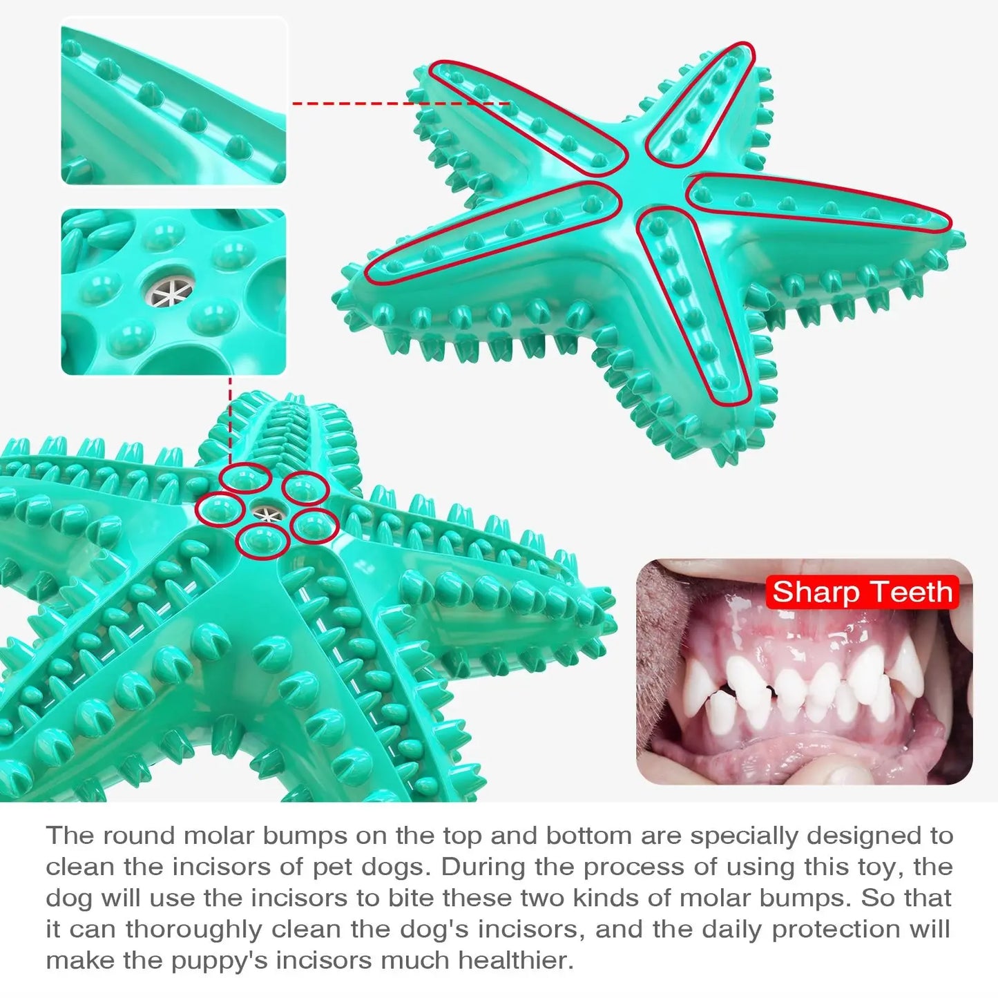 Squeak Toothbrush Chew Dog Toy Starfish Soft Rubber Puppy Plaything Interactive Chewing Dogs Toys With Sound Aggressive Chew Toy