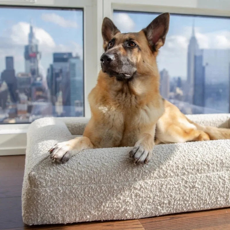 Custom Luxury Large Washable Orthopedic Waterproof Memory Foam Boucle Pet Dog Bed Pet Beds Removable Cover