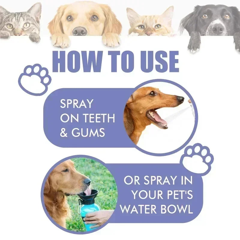 the ORAL SPRAY - Pet Teeth Cleaning Spray, Oral Care, Remove Tooth Stains, Keep Fresh Breath for Cats and Dogs, Whitening & Remove Bad Breath