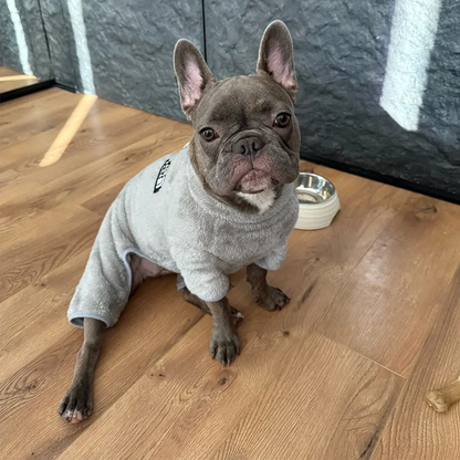 Winter Pet Jumpsuit Coat for Small Dogs Cat Maltese Clothes Warm Pet Jacket Overalls Yorkshire Bulldog Puppy Onesies with Zipper