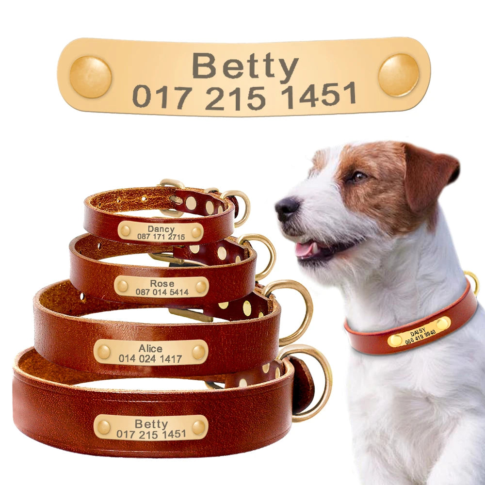 the CUSTOMPAWS EVERYDAY COLLAR - Personalized Dog Collar, PU Leather Puppy/Dog Collars, Durable Pet Necklace, Adjustable for Small/Medium/Large Dogs, Pug, Free Custom