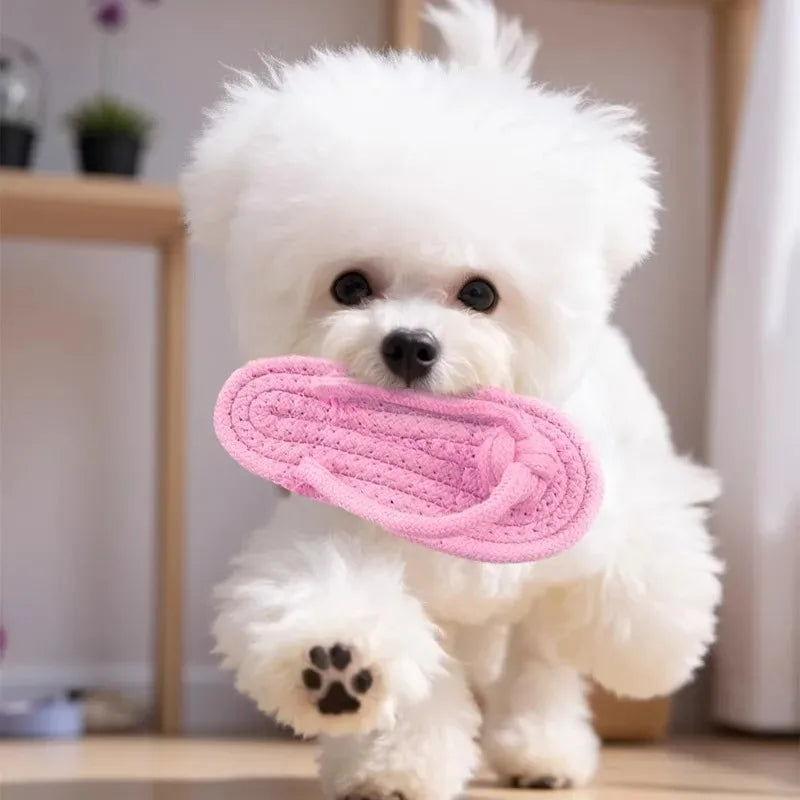the TOETUG SLIPPER TOY - Dog Chewing Toy, Cotton Slipper Rope Toy for Small/Large Dogs, Pet Teeth Training Molar Toys, Interactive Dog Toy, Dog Accessories