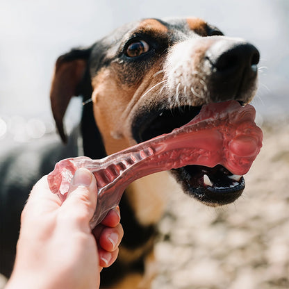 Silicone dog bite toy, natural rubber non-toxic, suitable for strong biting dogs, interactive cleaning of teeth bones,