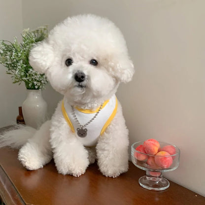 Comfortable White Dog Shirt Embroidery Teddy Pet Cat Sunscreen Shirt Puppy T-Shirt Cat Vest Small Dog Summer Clothes