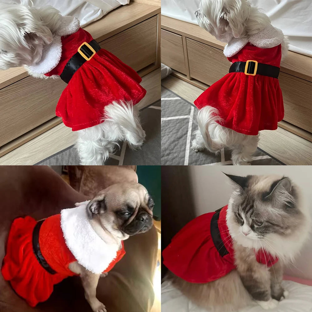 Christmas Dog Skirt Cute Pet Santa Claus Dress Costume for Small Medium Dogs Cat Puppy Cosplay Clothes Pug New Year Party Gifts